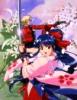 Sakura wars : the gorgeous blooming cherry blossoms - Im002.JPG