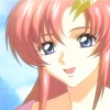 Gundam seed - Im015.JPG