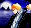 Bleach - Im003.JPG