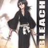 Bleach - Im044.JPG