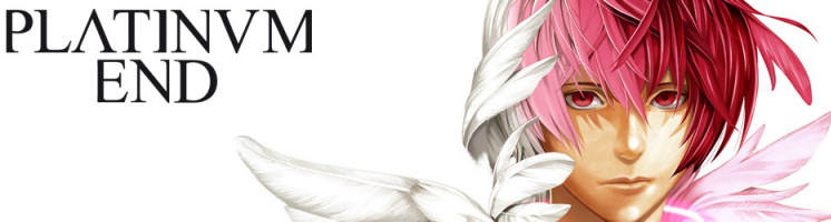 Platinum end