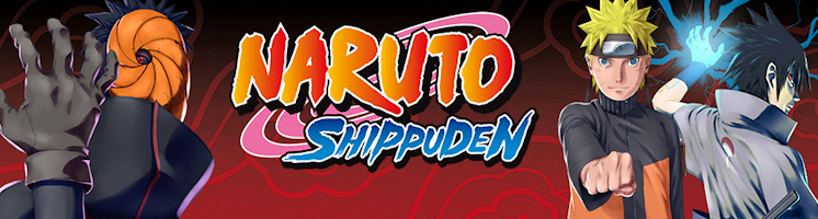Naruto : hurricane chronicles