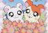 Hamtaro, piccoli criceti grande aventure - Im003.JPG