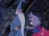 The sword in the stone - Im004.JPG