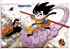 Dragon ball - la fantastica aventura - Im051.JPG