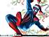 Spiderman - Im001.JPG