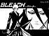 Bleach - Im021.JPG