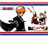 Bleach - Im022.JPG