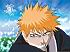 Bleach - Im033.JPG