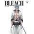 Bleach - Im058.JPG