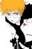 Bleach - Im061.JPG