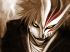 Bleach - Im134.JPG