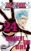 Bleach T.24