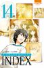 A certain magical index T.14