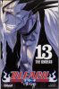 Bleach T.13