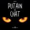 Putain de chat