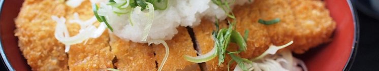 Katsudon