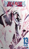 Bleach Vol.13