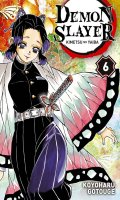 Demon slayer T.6