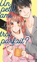 Un petit ami trop parfait T.6